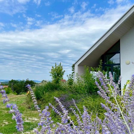 Wine & Space Lodge At Lake Balaton Balatonlelle Exterior foto