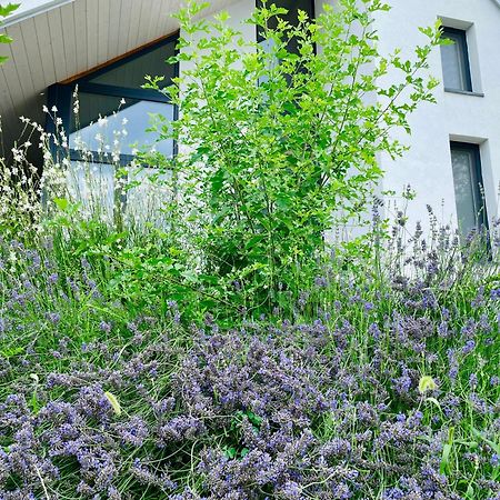 Wine & Space Lodge At Lake Balaton Balatonlelle Exterior foto