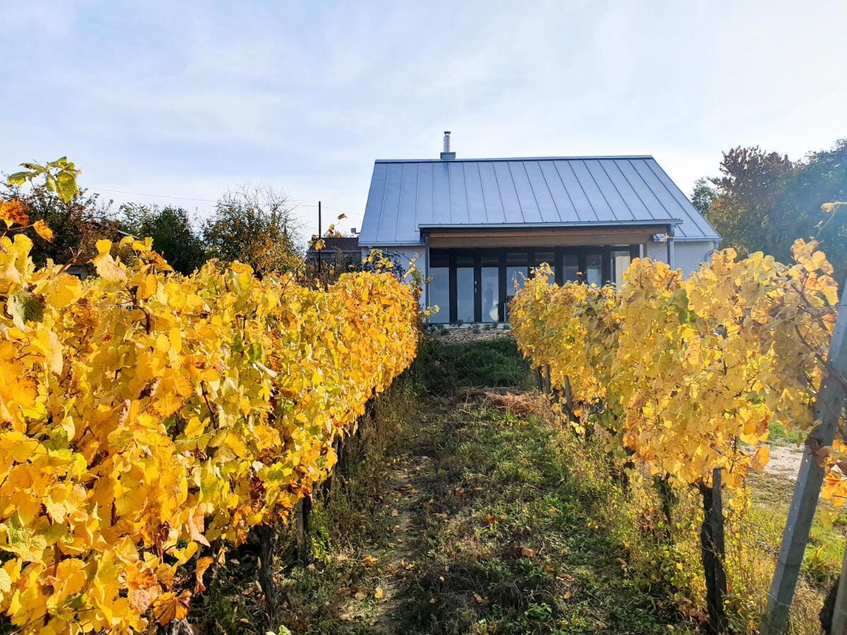 Wine & Space Lodge At Lake Balaton Balatonlelle Exterior foto