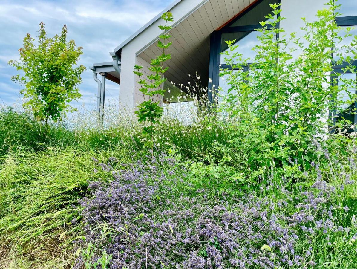 Wine & Space Lodge At Lake Balaton Balatonlelle Exterior foto