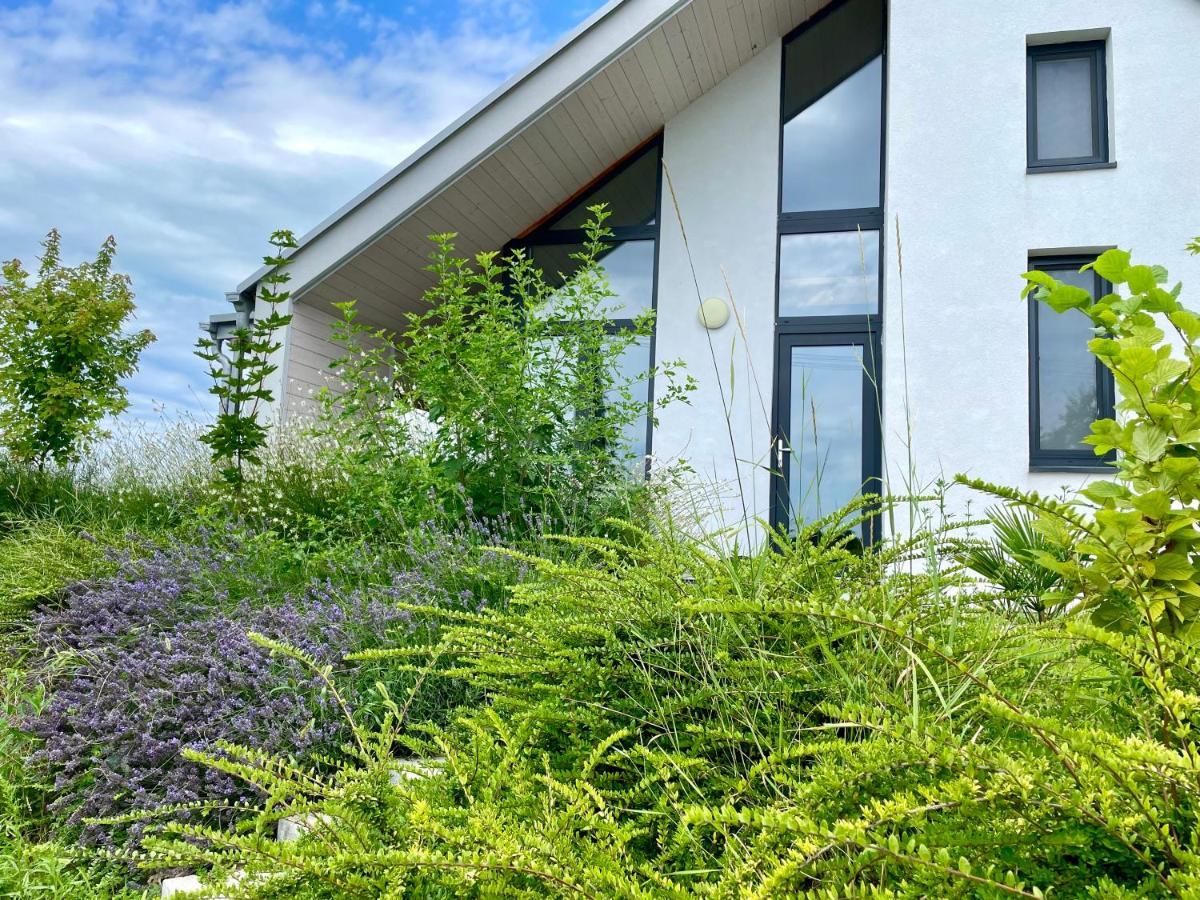 Wine & Space Lodge At Lake Balaton Balatonlelle Exterior foto