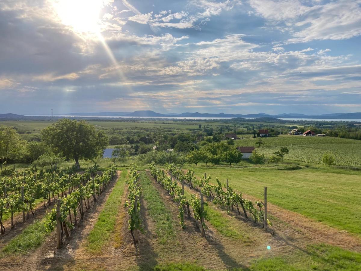 Wine & Space Lodge At Lake Balaton Balatonlelle Exterior foto